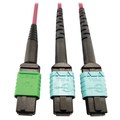 Tripp Lite Mmf Fbr Optic Cable Mtp/Mpo-Ap, N846D-05M-16DMG N846D-05M-16DMG